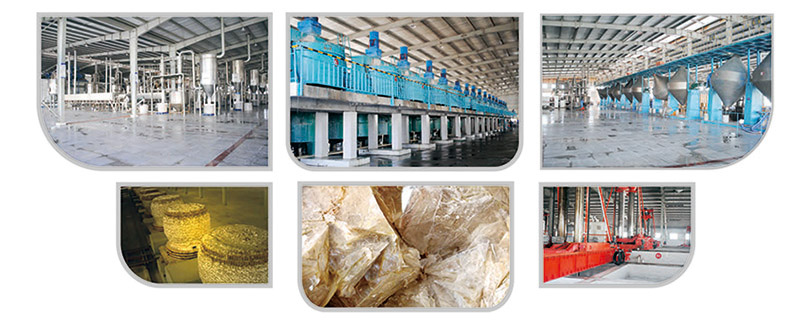 non-toxic seed dressing factory