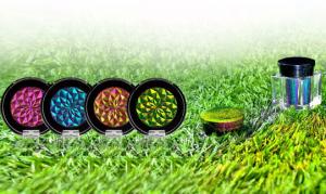 Polvo de pigmento cosmético