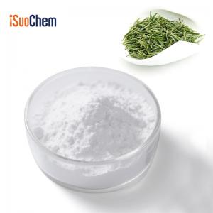 Polvo aromático de té verde